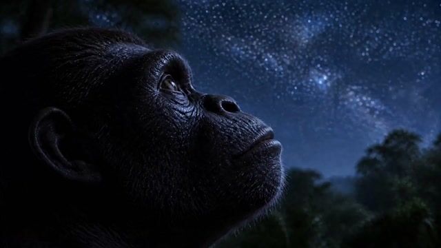 从类人猿到人类的太空进化转场